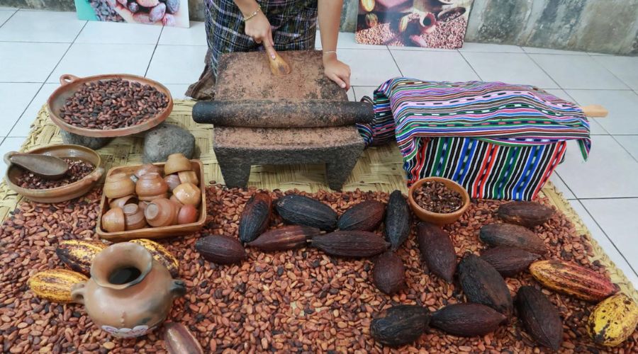 Chocolate workshop